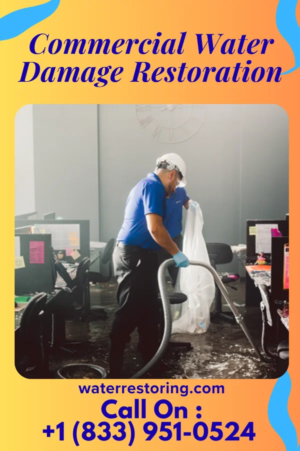 Commercial Water Damage Restoration in Edisto Beach, SC